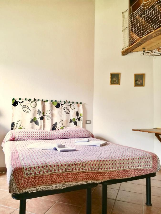 ريكّو B&B Quincas Berro D'Agua المظهر الخارجي الصورة
